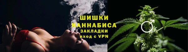 шишки Армянск