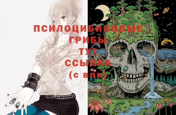 герыч Аркадак
