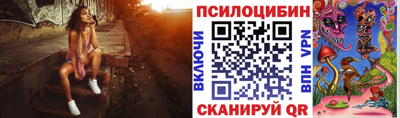 Купить  Бологое  Псилоцибиновые грибы Magic Shrooms 